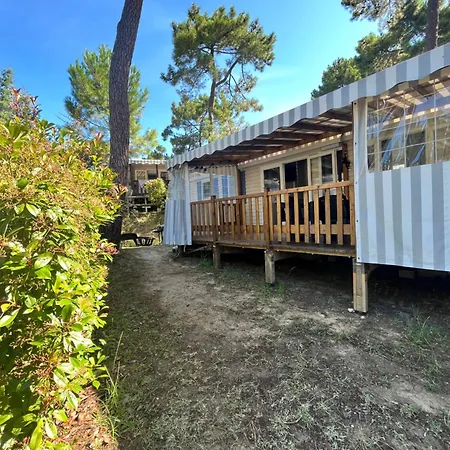 Campsite Mobilhome Luminosa Tt Equipe 6/8 Pers