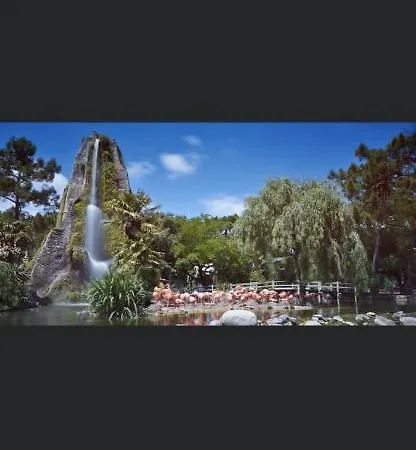 Kamp alanı Mobilhome Luminosa Tt Equipe 6/8 Pers Les Mathes